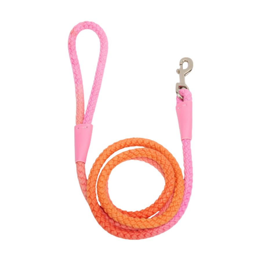 Braided Rope Dog Leash - Pink & Orange