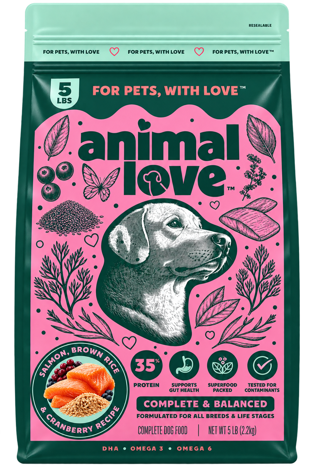 Salmon Flavor Dry Dog Food