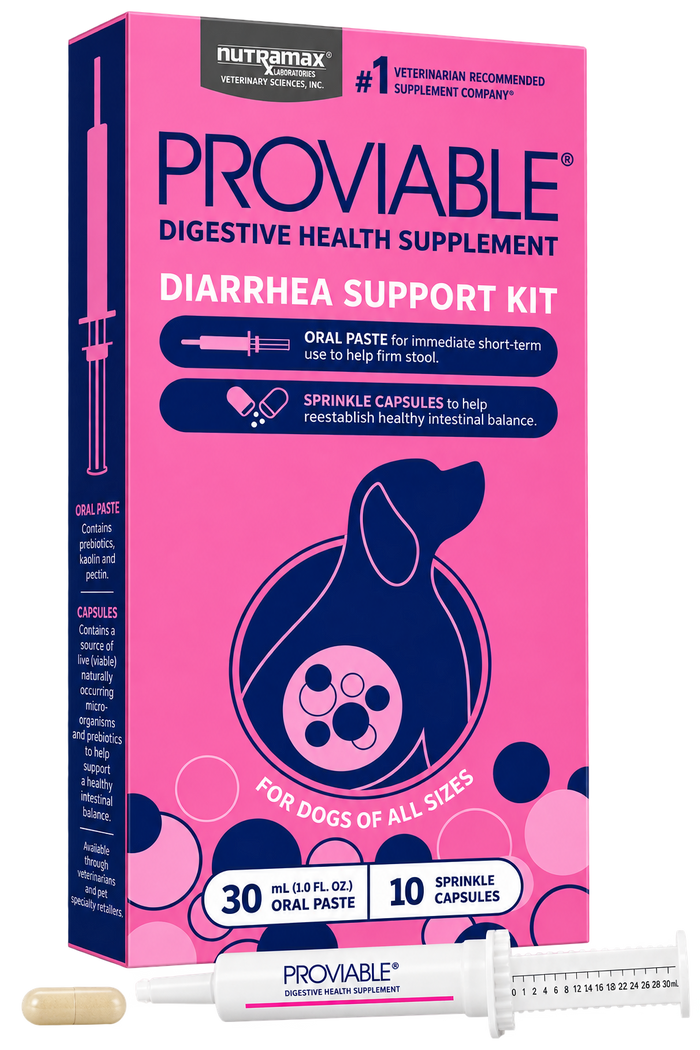Proviable Probiotics Diarrhea Support Kit for Dogs