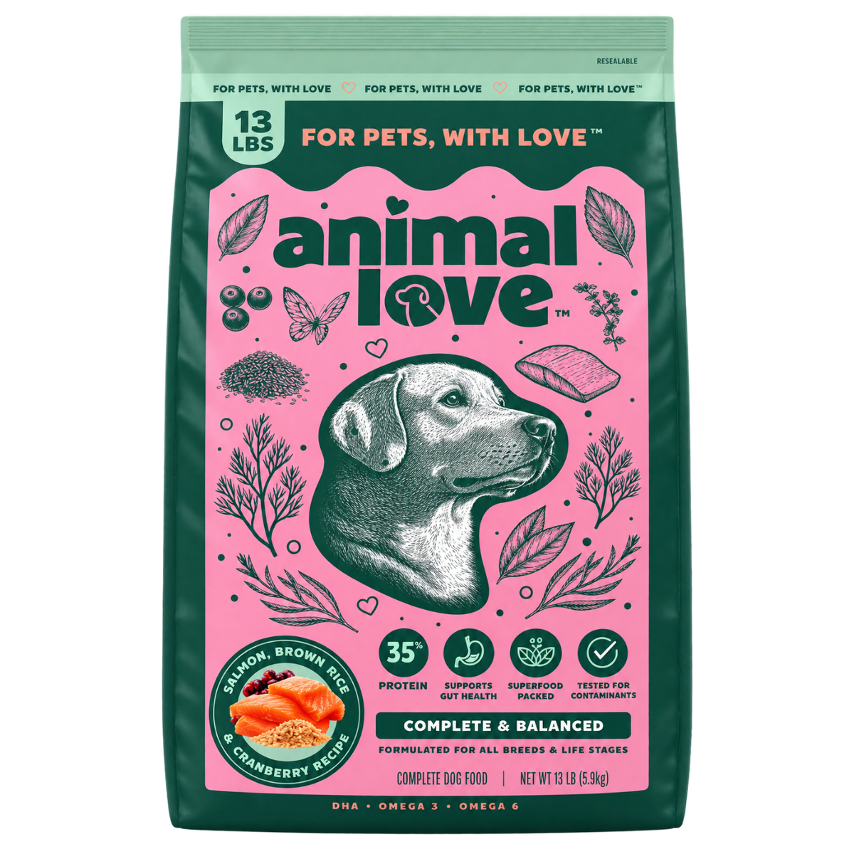 Salmon Flavor Dry Dog Food