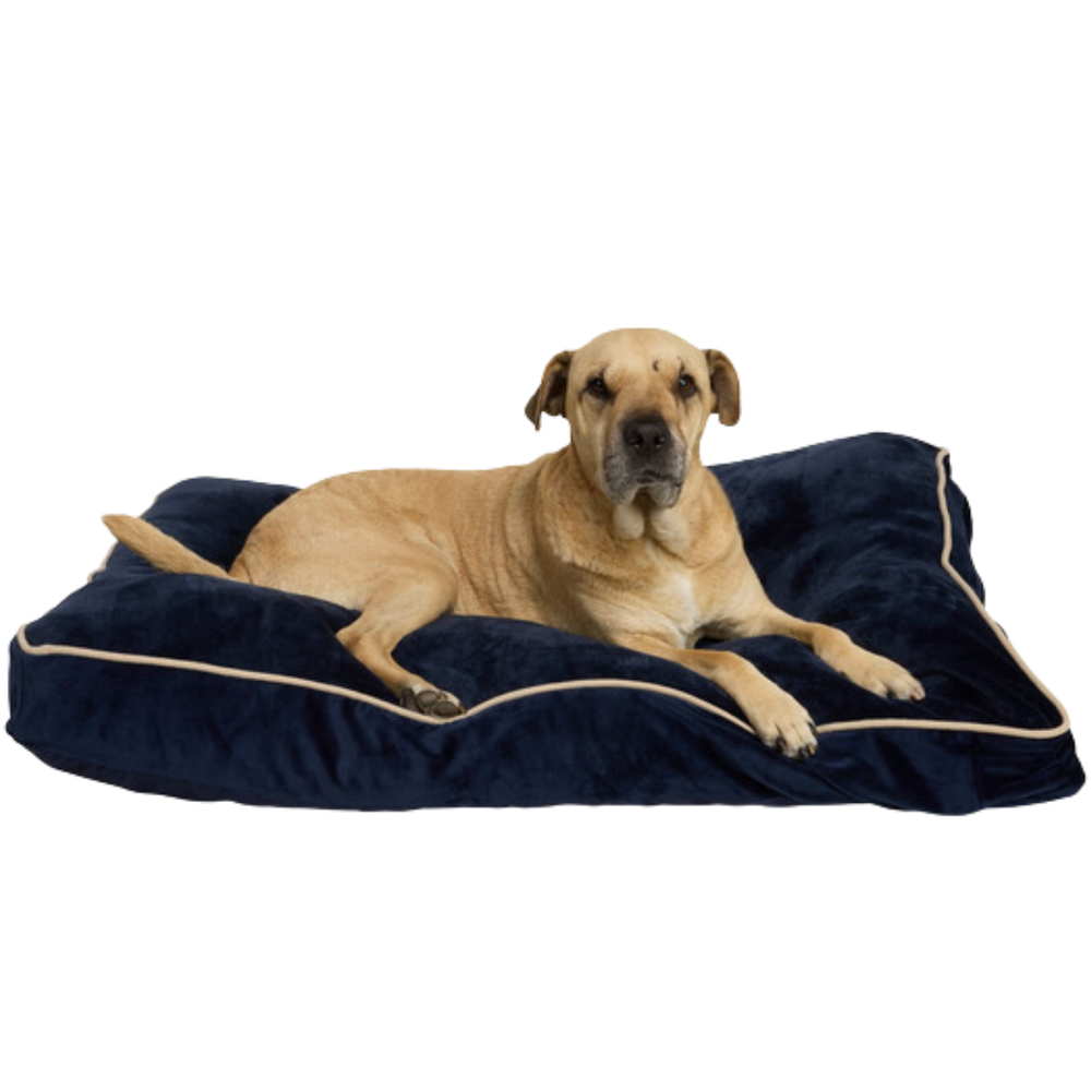 Rectangle Lounger Dog Bed, Large - Navy