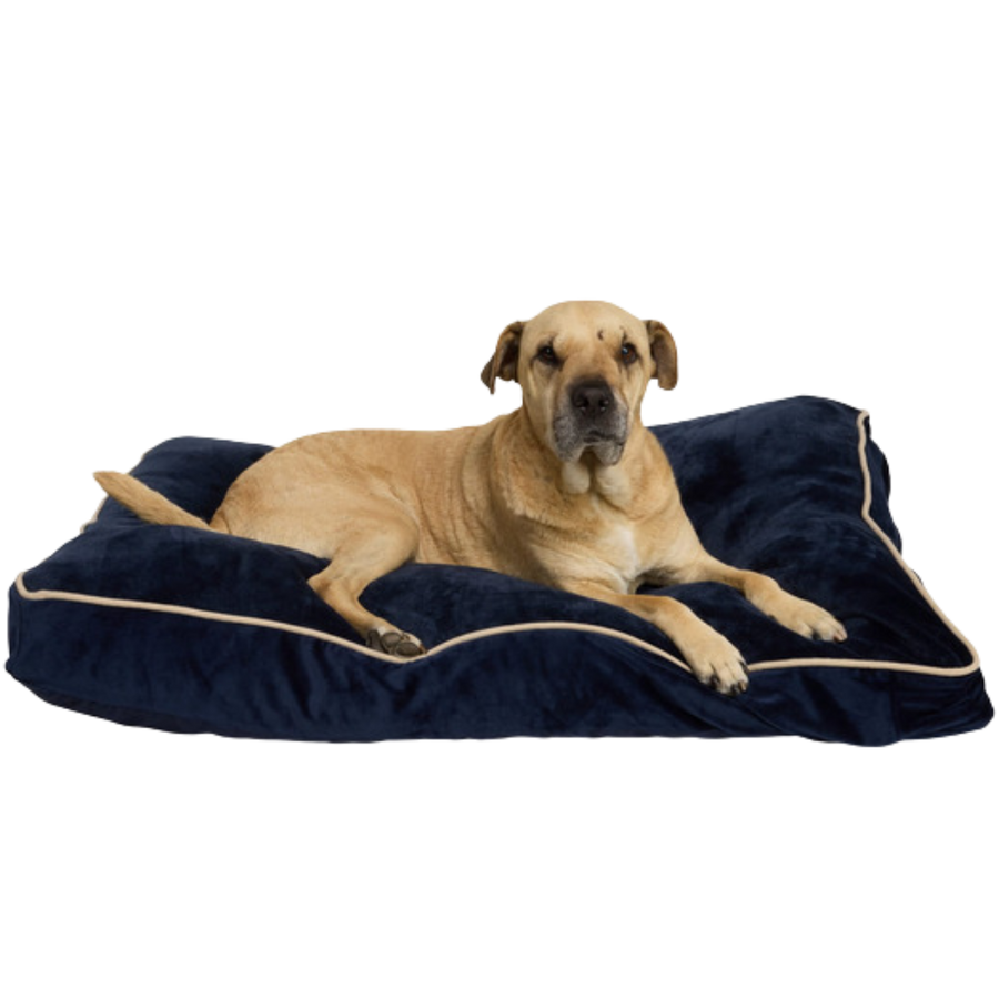 Rectangle Lounger Dog Bed, Large - Navy