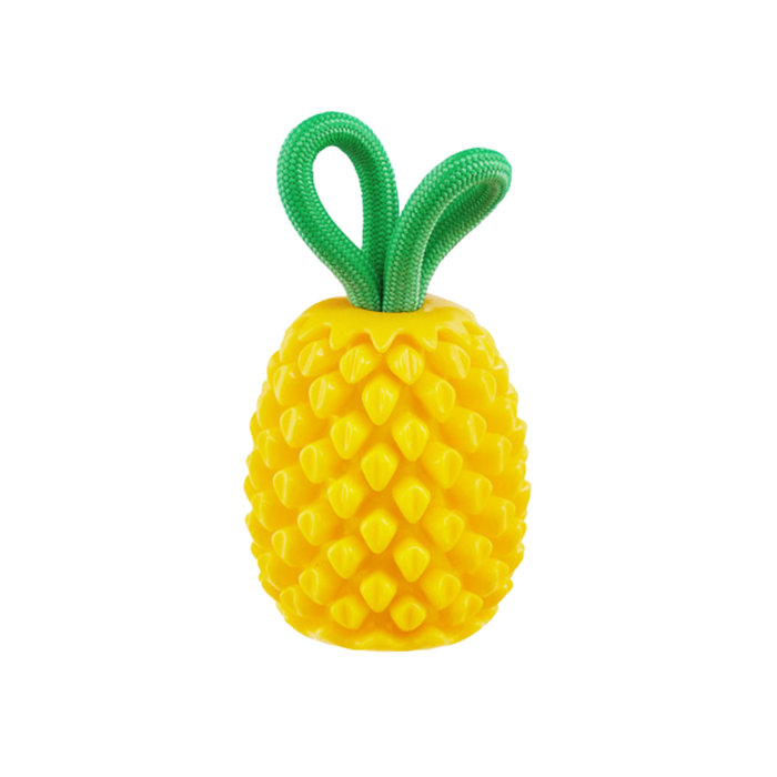 Hound Plant Dog Pineapple Dental Chew Toy & Interactive Treat Stuffer Dog Toys, Small