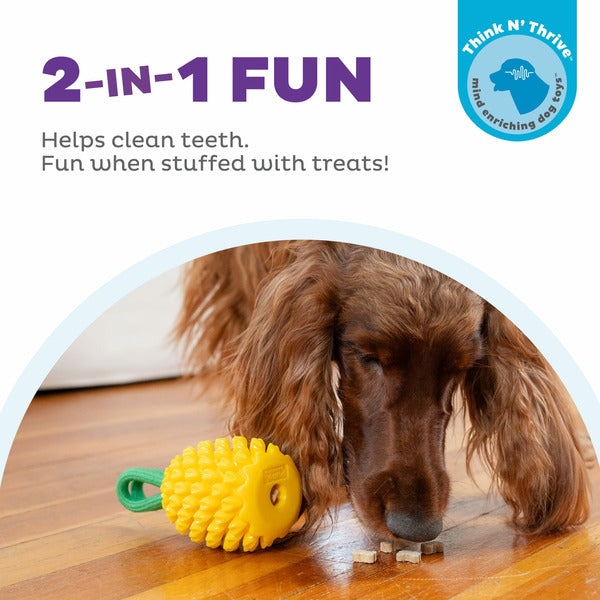 Hound Plant Dog Pineapple Dental Chew Toy & Interactive Treat Stuffer Dog Toys, Small