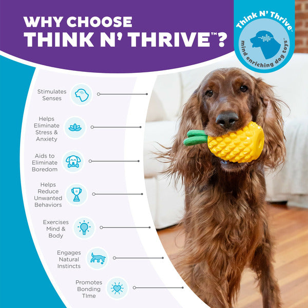 Hound Plant Dog Pineapple Dental Chew Toy & Interactive Treat Stuffer Dog Toys, Small
